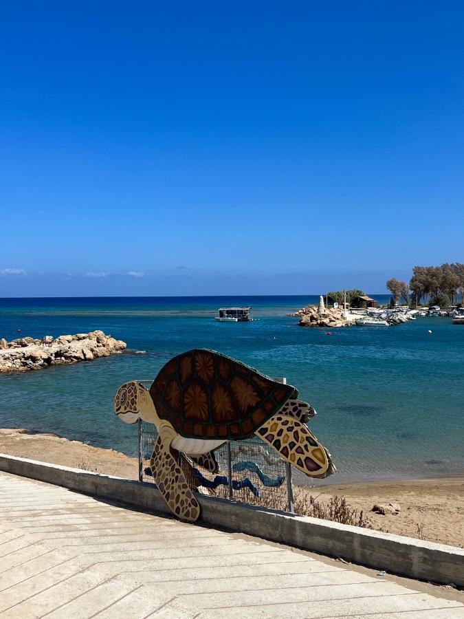 Taniandres Apartments باراليمني المظهر الخارجي الصورة